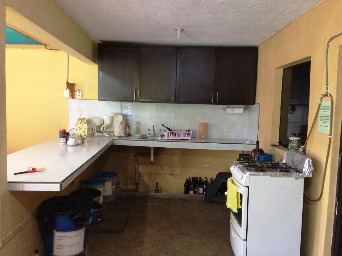 Amigos Hostel Cozumel Zewnętrze zdjęcie