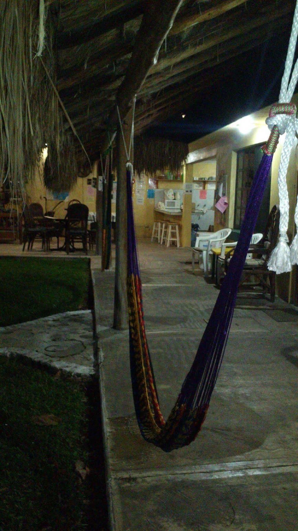 Amigos Hostel Cozumel Zewnętrze zdjęcie