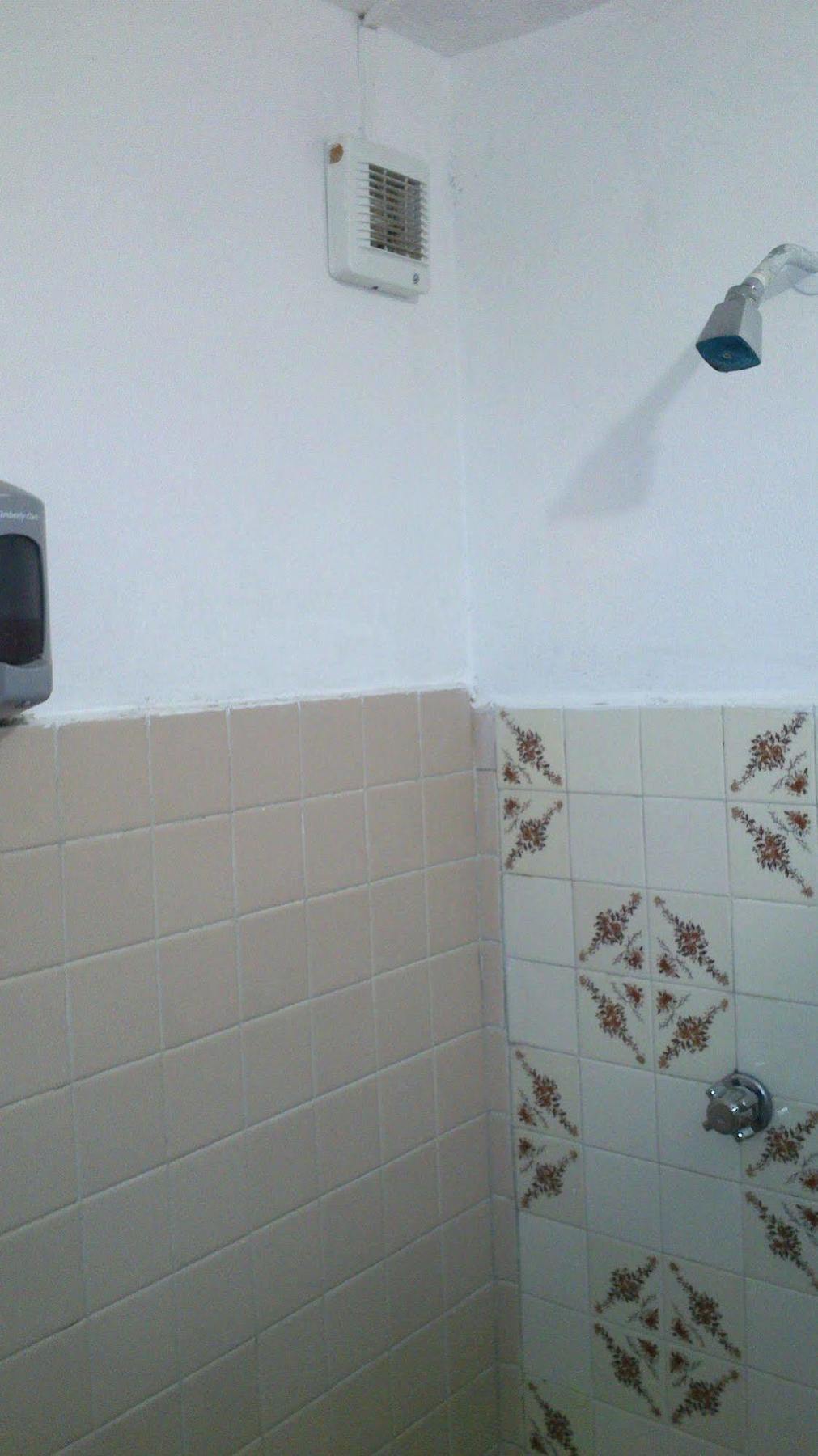 Amigos Hostel Cozumel Zewnętrze zdjęcie