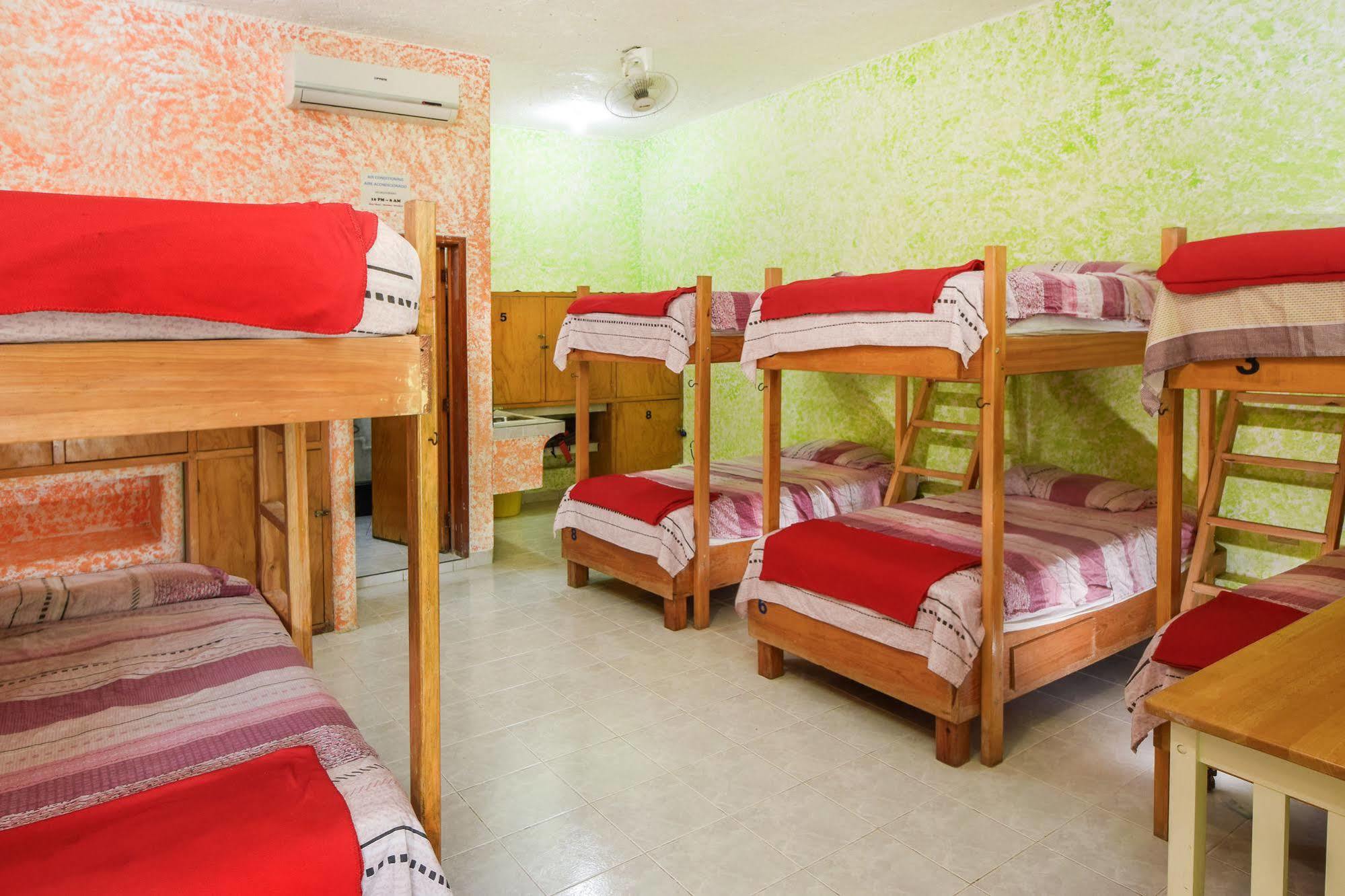 Amigos Hostel Cozumel Łóżka hostelowe
 zdjęcie