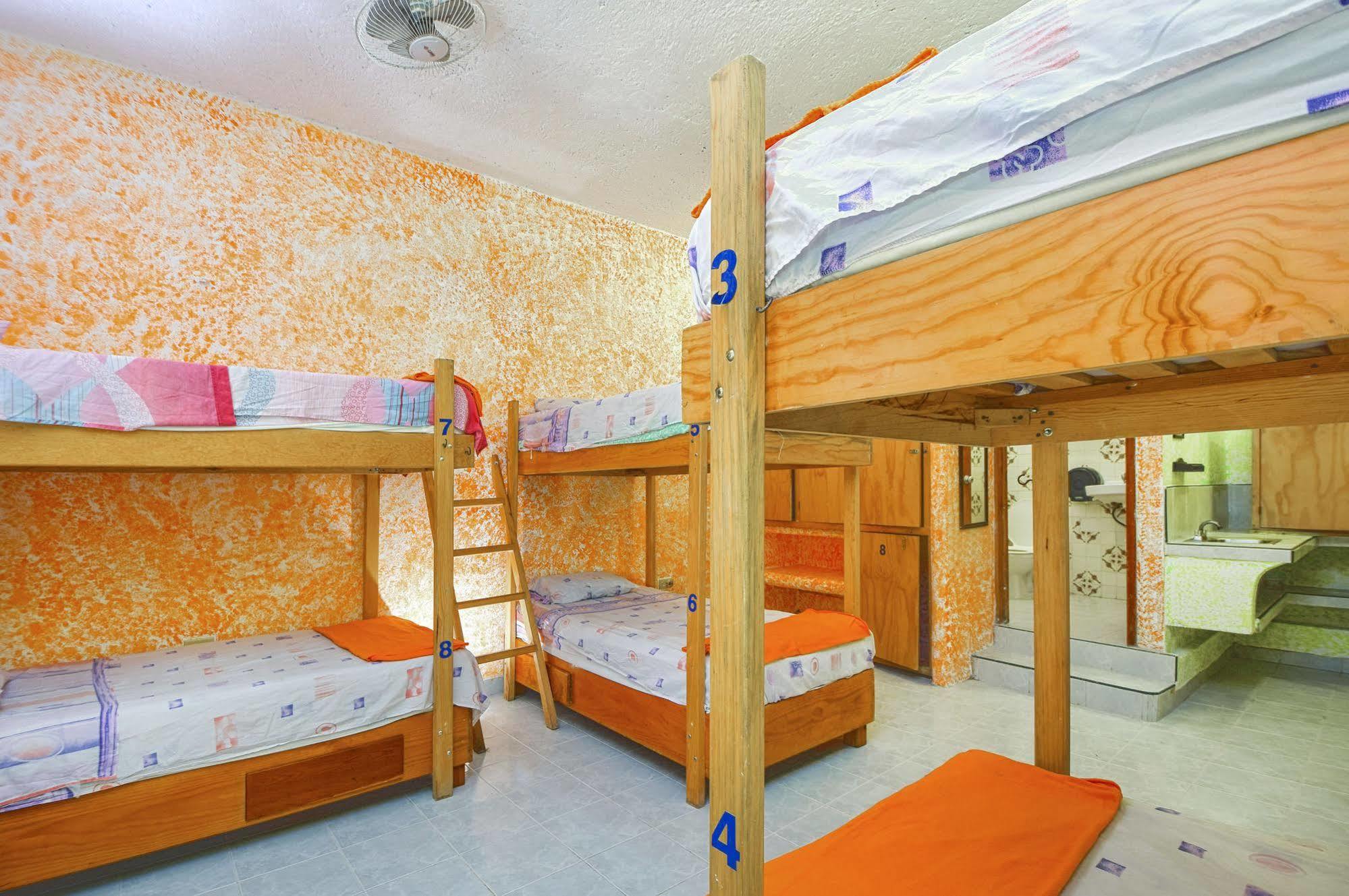 Amigos Hostel Cozumel Zewnętrze zdjęcie