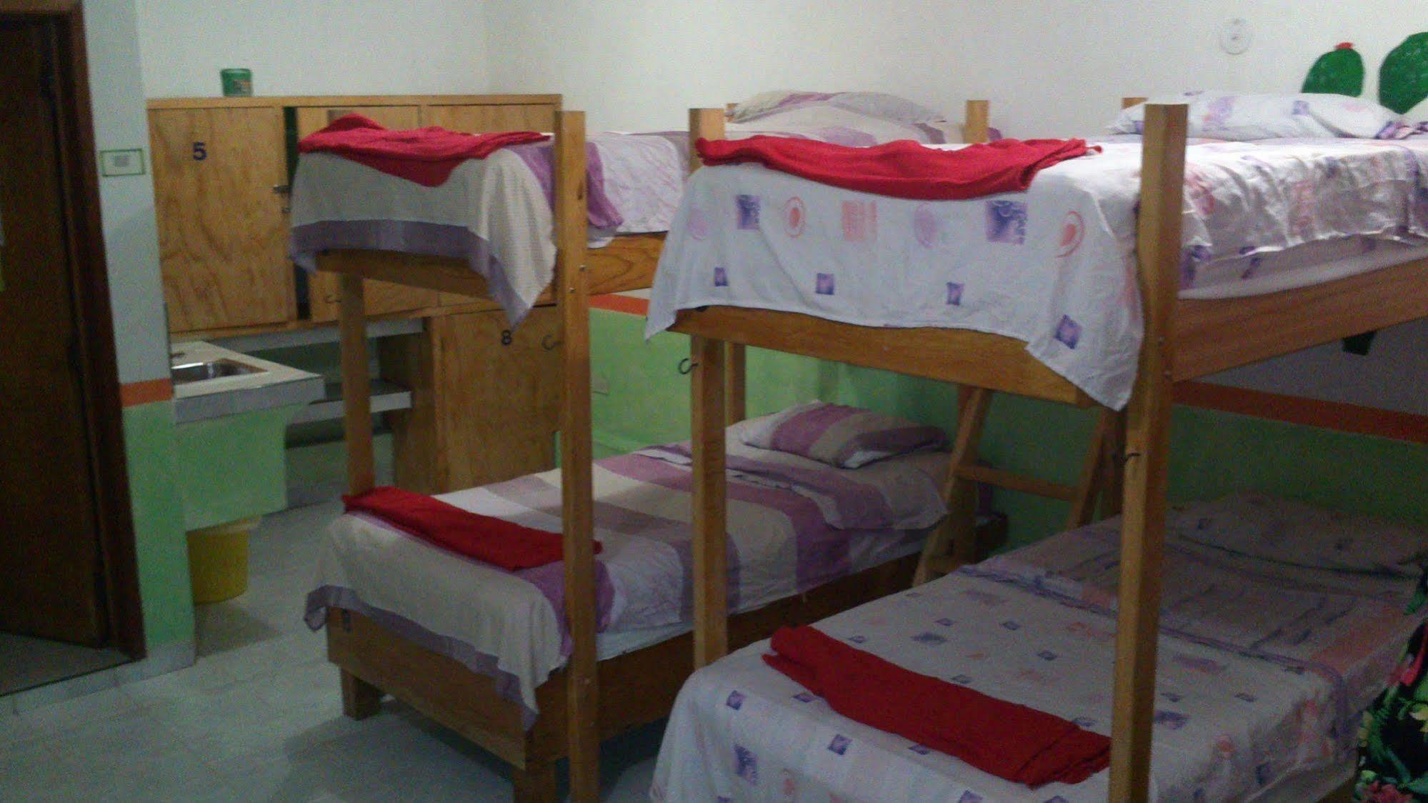 Amigos Hostel Cozumel Łóżka hostelowe
 zdjęcie